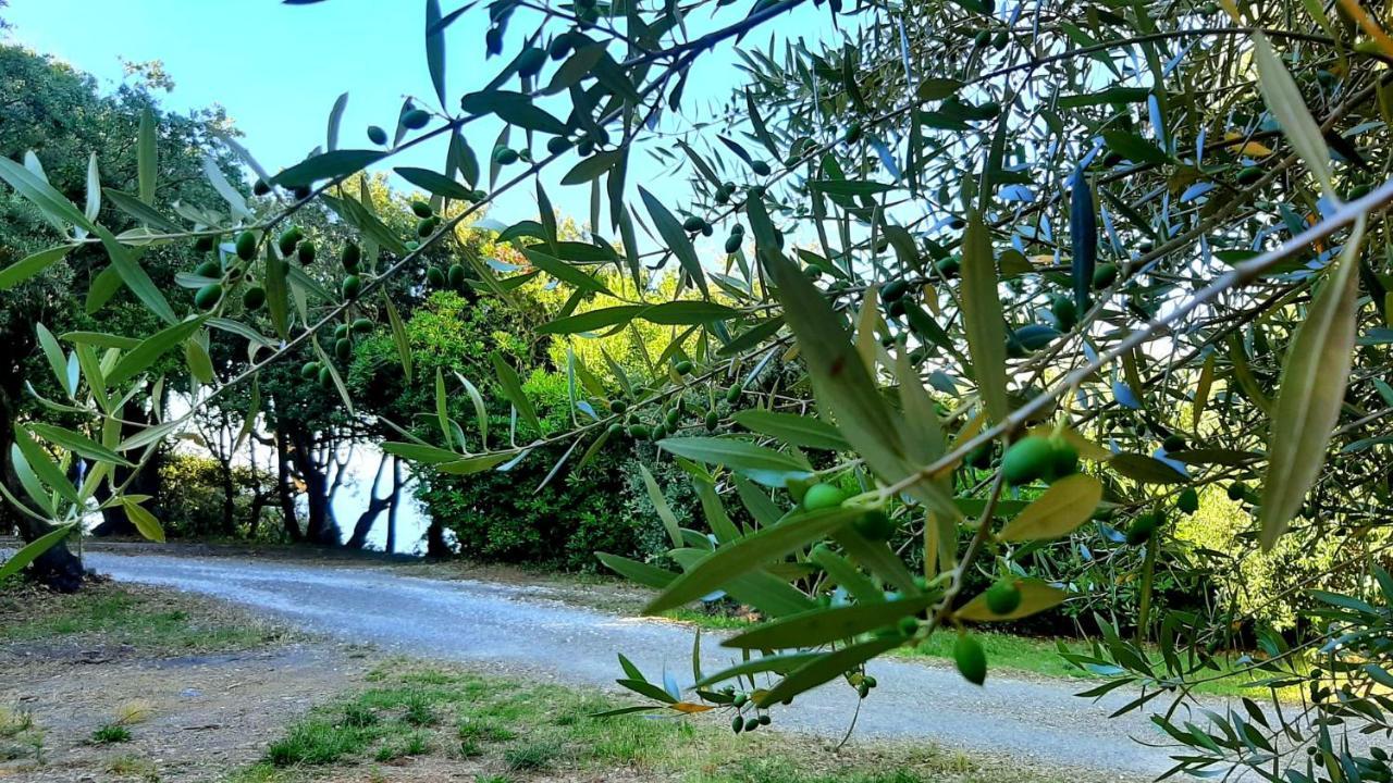 San Giuseppe Casa Per Ferie Quercianella Exterior foto