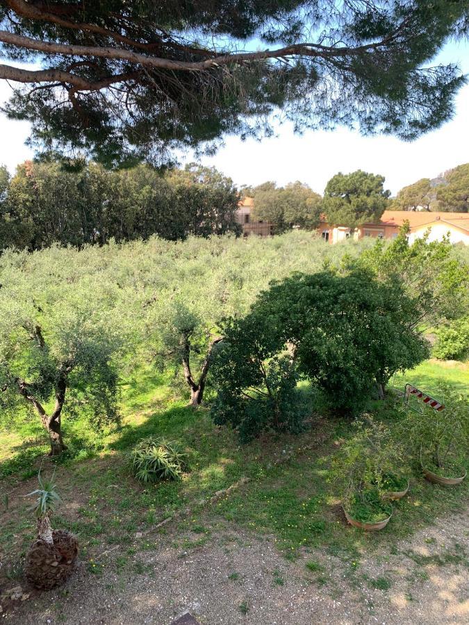 San Giuseppe Casa Per Ferie Quercianella Exterior foto